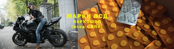 стаф Алзамай