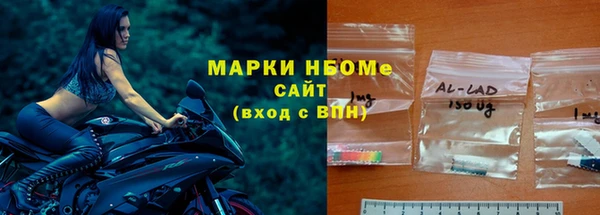 стаф Алзамай