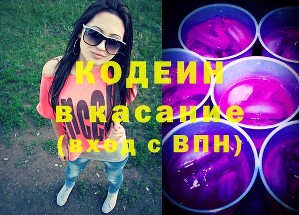 стаф Алзамай
