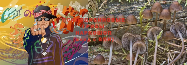 амф Алексеевка