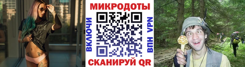 OMG маркетплейс  Петропавловск-Камчатский  Псилоцибиновые грибы MAGIC MUSHROOMS 
