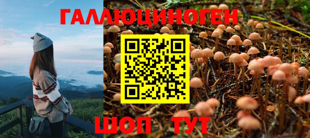 Псилоцибиновые грибы мицелий Петропавловск-Камчатский