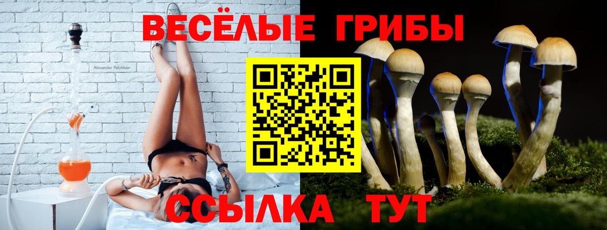 Псилоцибиновые грибы мухоморы  Галлюциногенные грибы Psilocybine cubensis  Петропавловск-Камчатский  Вход с VPN 
